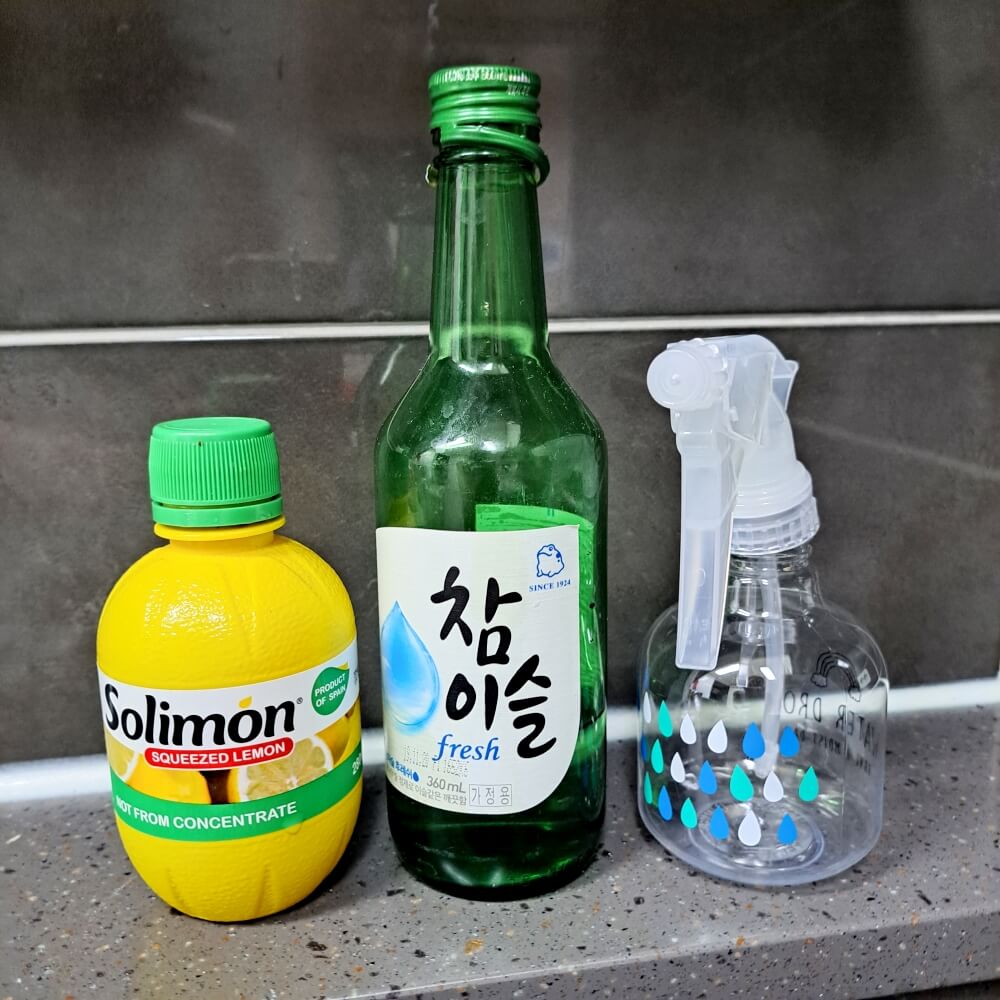 레몬즙 소주 분무기