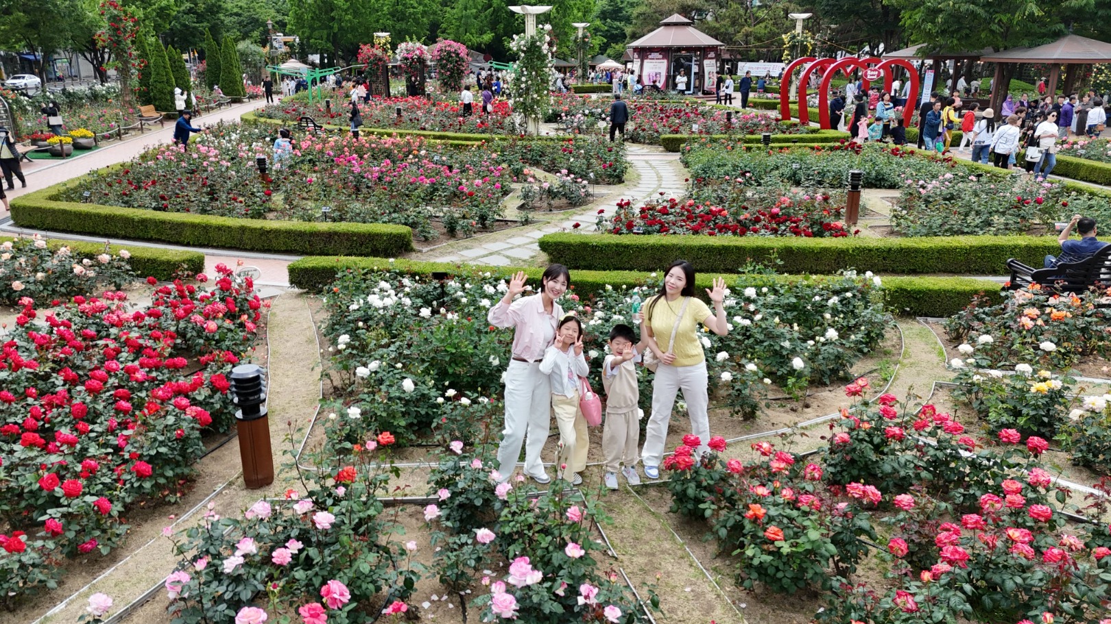 장미꽃 필 무렵