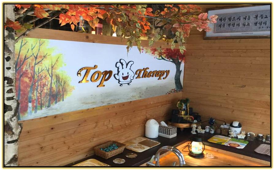 탑테라피