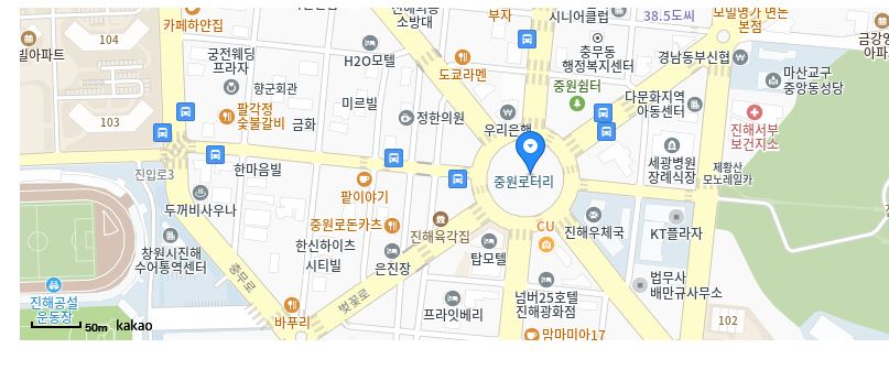진해군항제