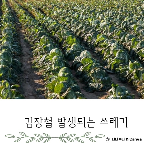 김장쓰레기 배출방법 배출요령 인천시&amp;#44; 서울시