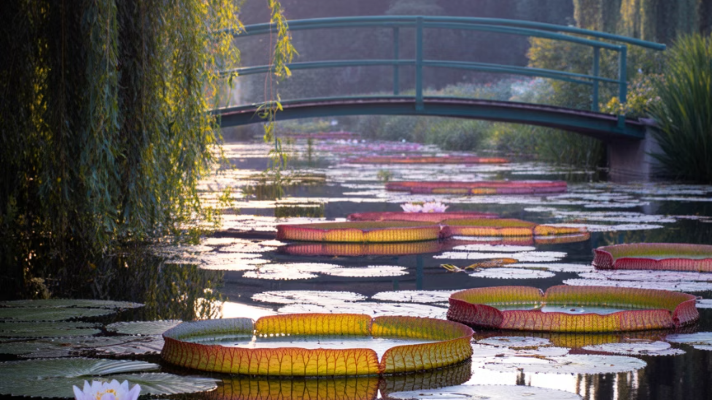 모네만의 화풍 특징