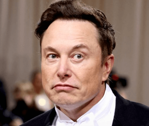 일론 머스크