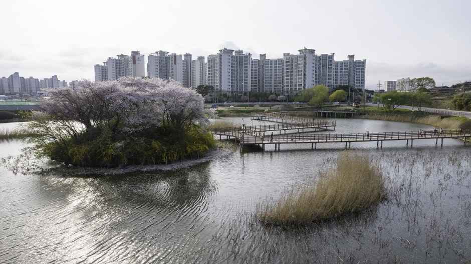 공원 역재방죽(생태공원)