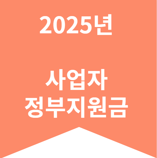2025년 사업자 정부지원금