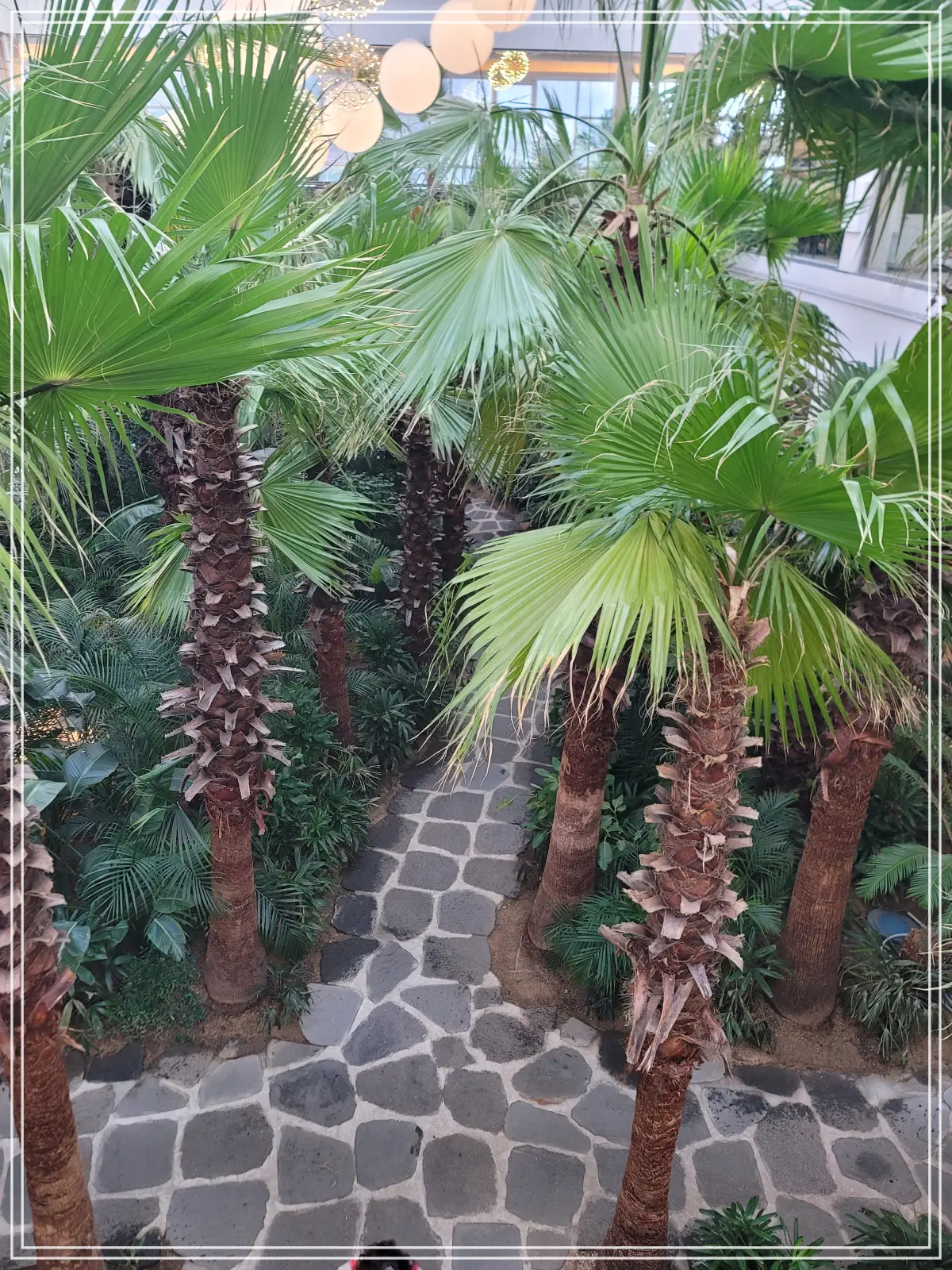 팜브릿지-3층-야자수길