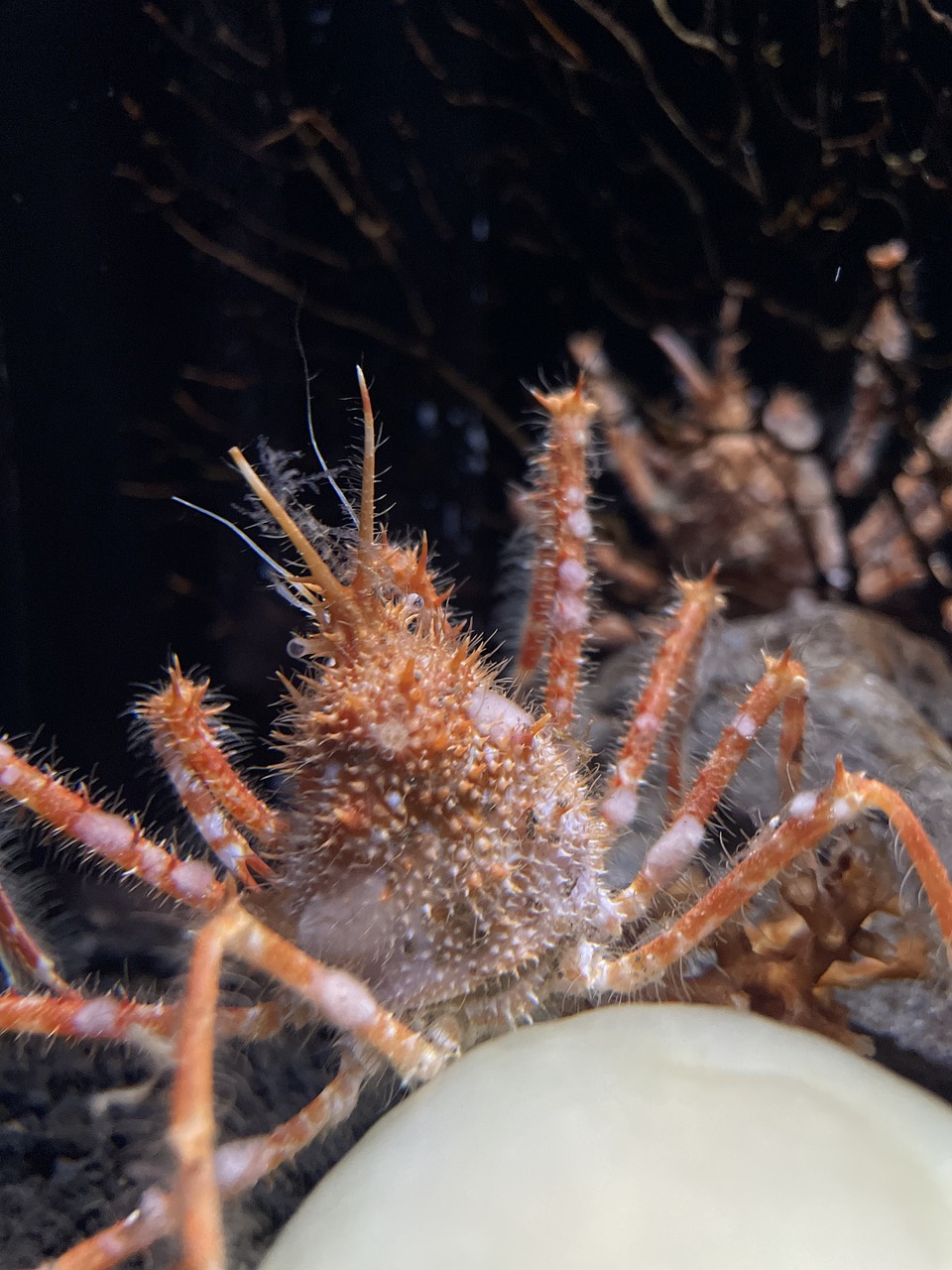 전 세계에서 사람이 가본 가장 깊은 바다 사진