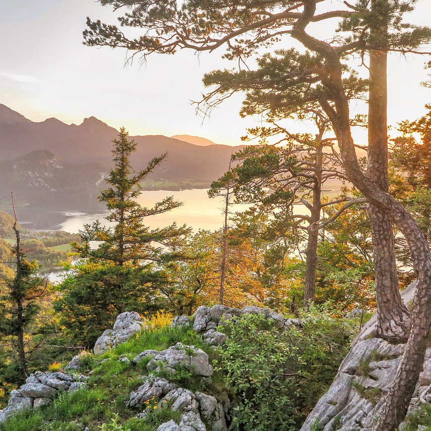 대장내시경 비용 분석
