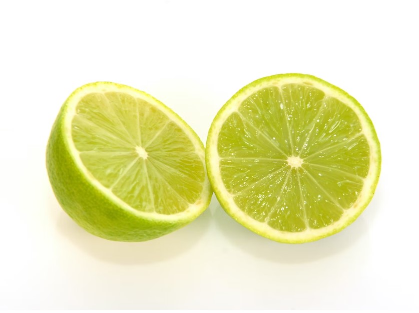 6월 제철 과일 모음