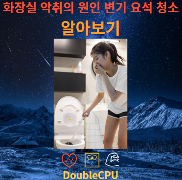 변기 요석 청소법