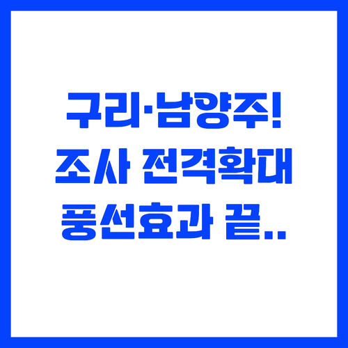 구리 남양주까지 조사 확대 부동산 풍..