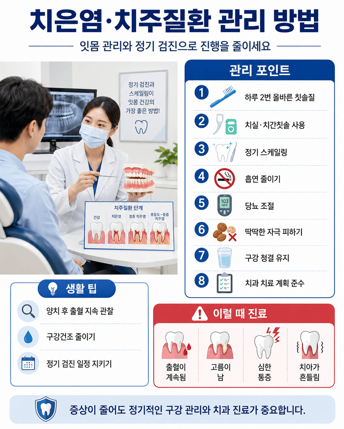 치은염 치주질환 관리 방법