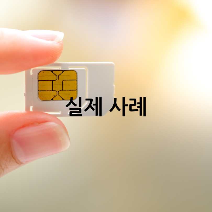 SK유심보호서비스&amp;#44; 해외 로밍