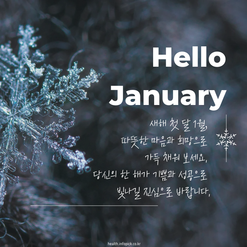 2025년 1월 인사말 문구 이미지 모음