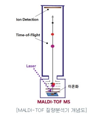 아스타 사우디 투자 유치