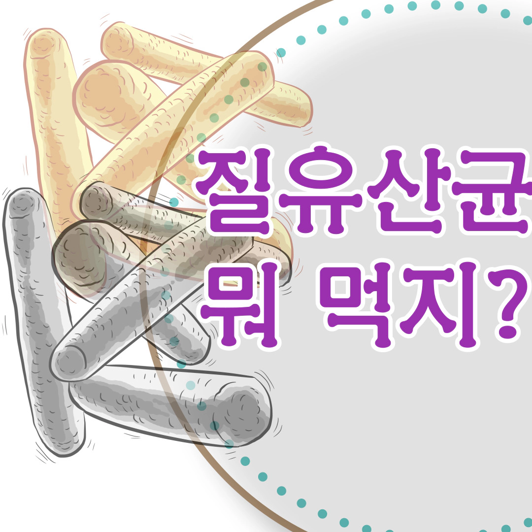 [질유산균] 뭐 먹지?...여에스더 유산균 등 비교