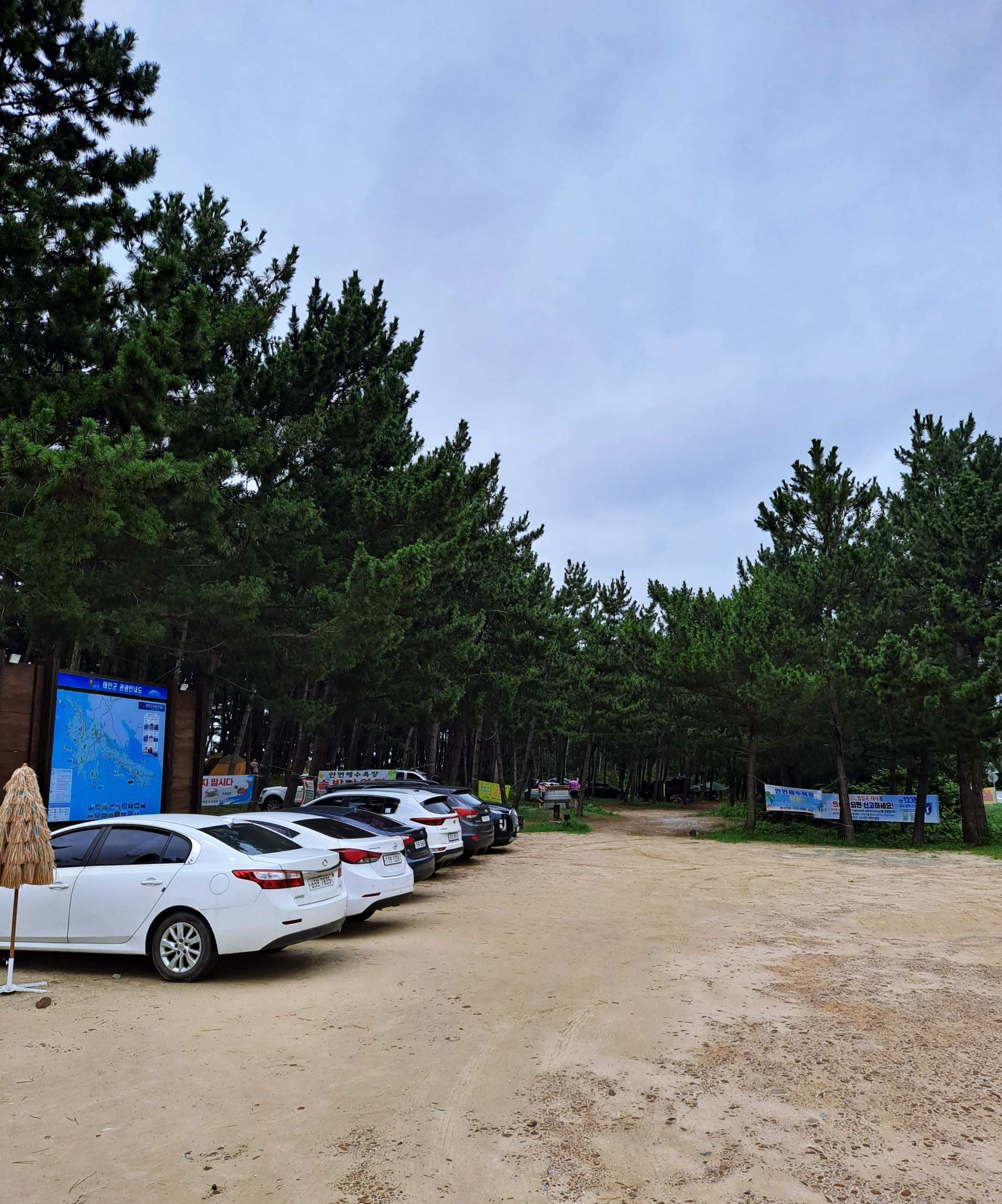 안면 해수욕장 주차장