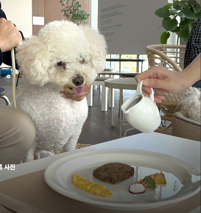 하림펫푸드-개슐랭