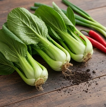 봄동 겉절이 황금레시피 (+만드는법 양념장 봄동김치 요리 봄동무침)