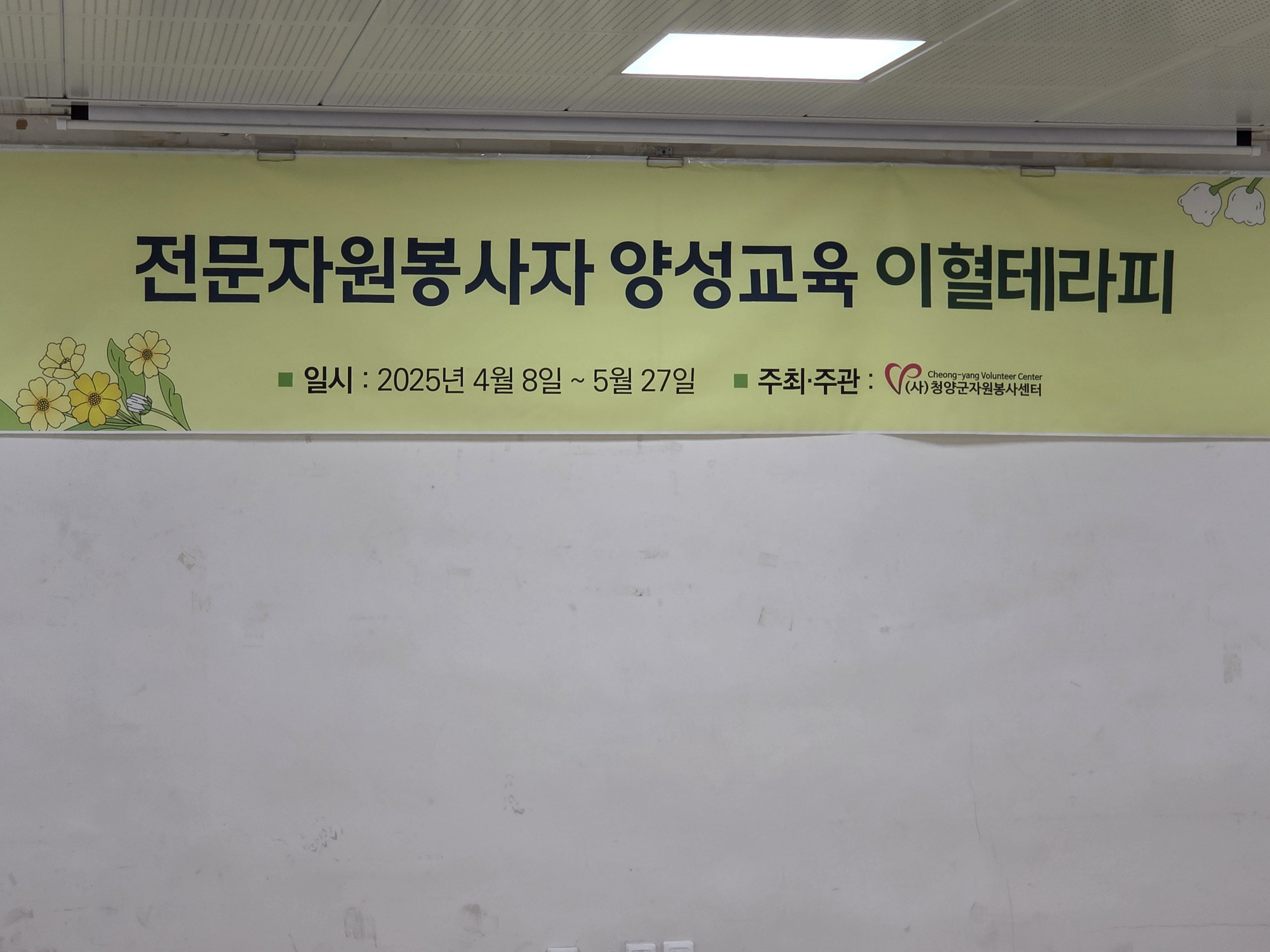 음이온볼파스