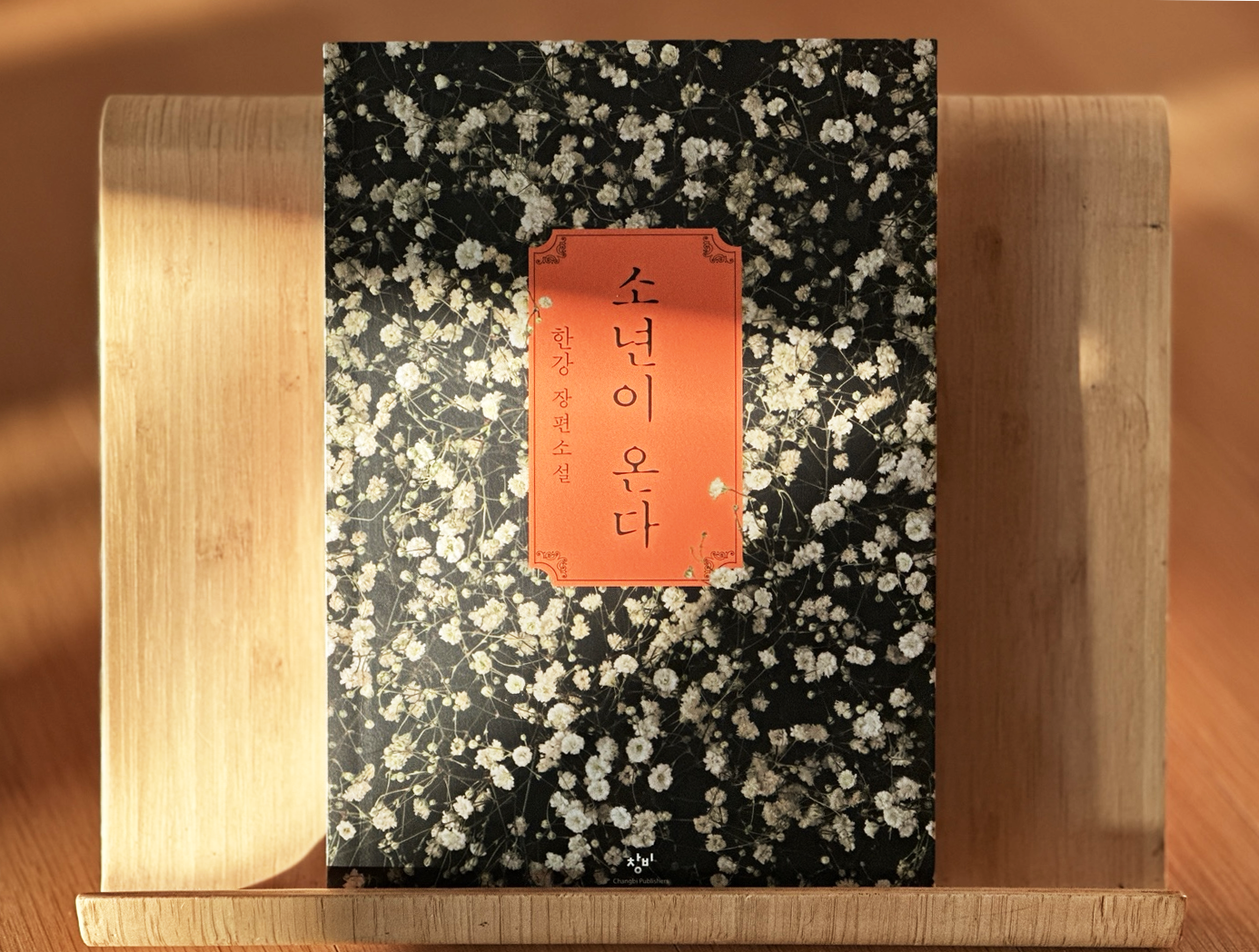 한강 소년이 온다