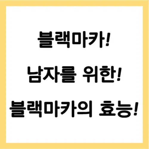 블랙마카 효능