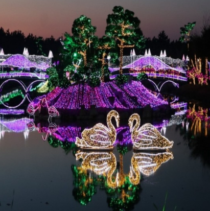 365일 빛축제 가을에 꼭 가봐야할 빛축제 BEST 5