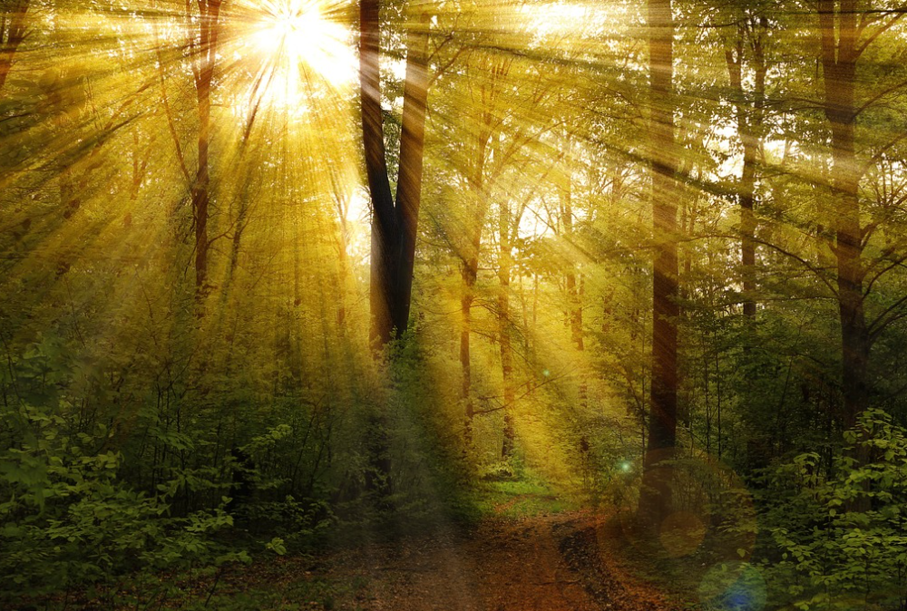 골다공증 관리 방법