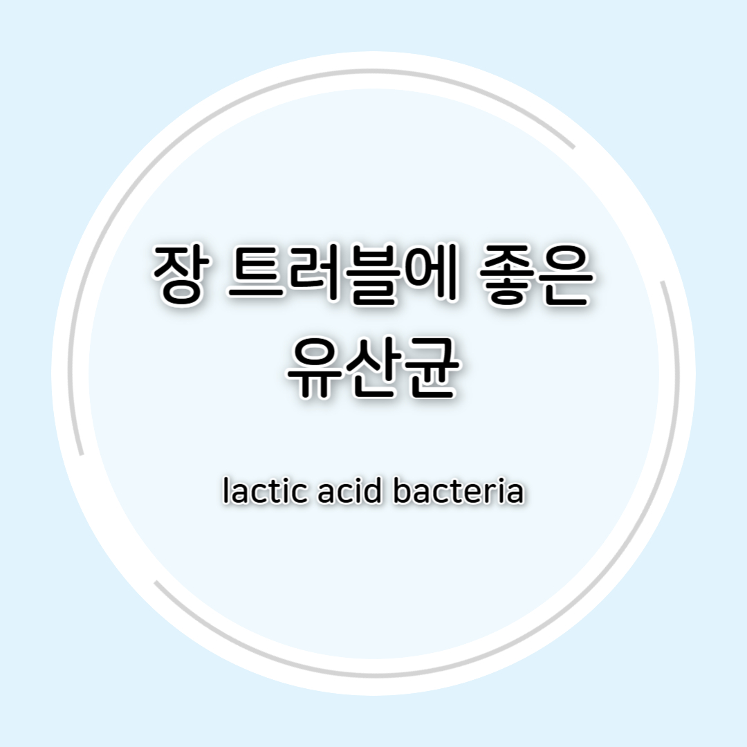 과민성대장증후군에 좋은 유산균 총정리