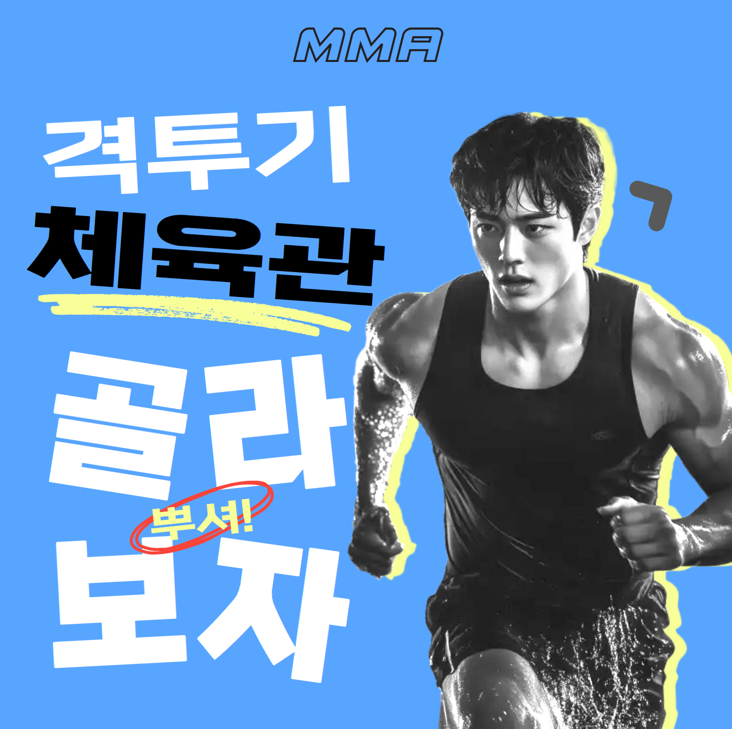 종합 격투기 체육관 선택 가이드