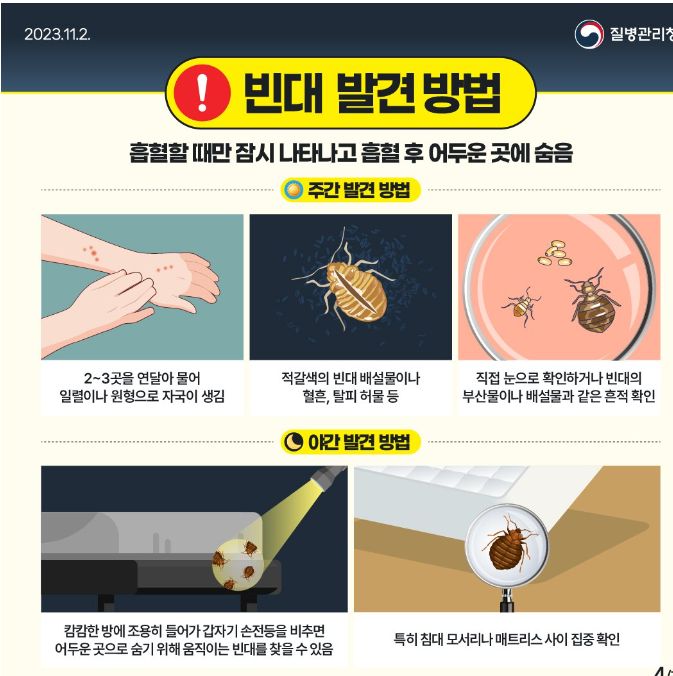 빈대 발견방법