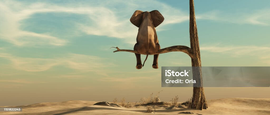 잇몸치료도움되는식품5가지