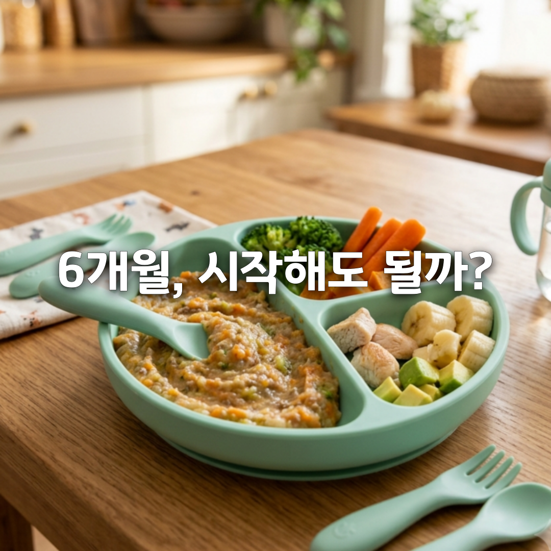 자기주도 이유식 시작 시기🥄 6개월이면 바로 해도 될까