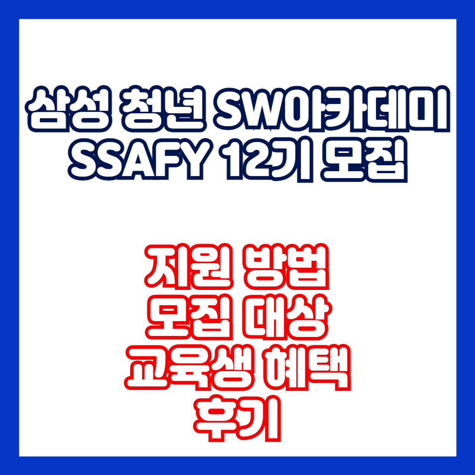싸피12기