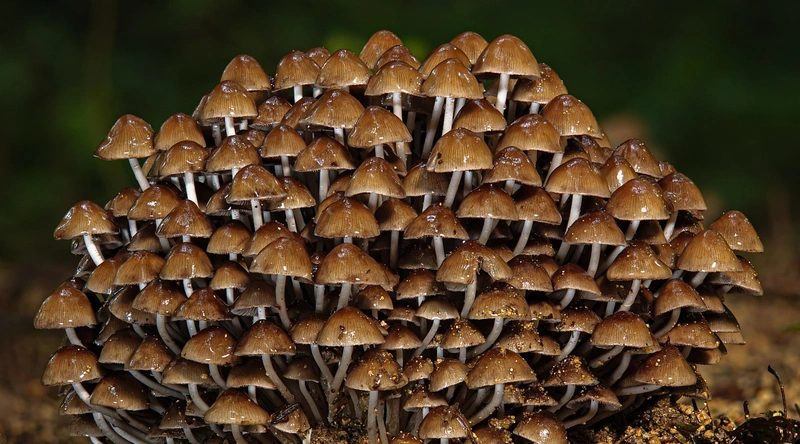 공장 바닥 에폭시