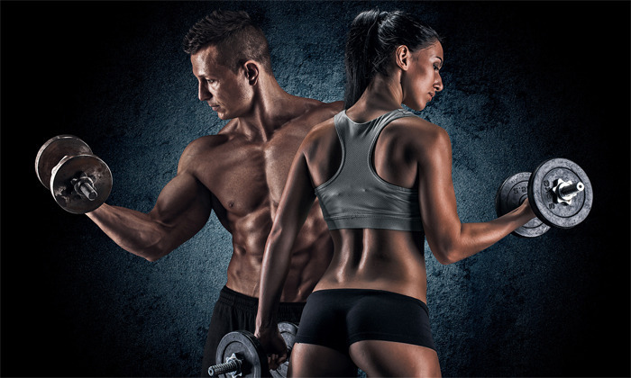 단백질이 많은 음식 종류