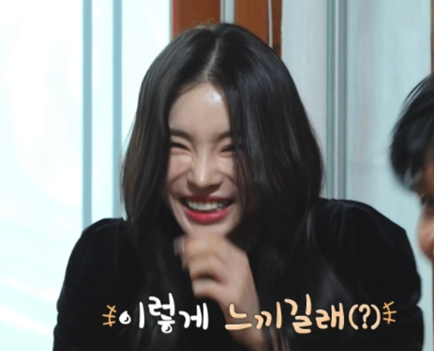 나솔사계 국화