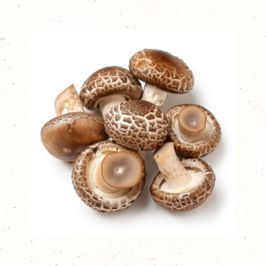 표고버섯 제철 식재료