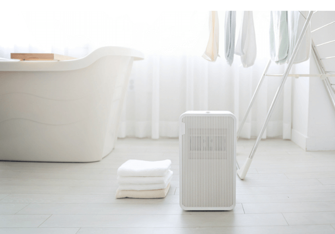 보아르-모아-파인-제습기