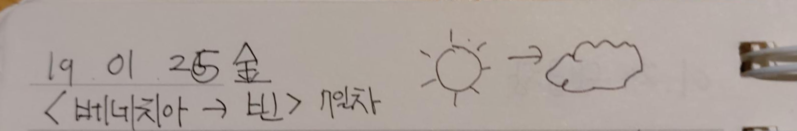 맑은 뒤 흐림 190125 오스트리아 빈 날씨