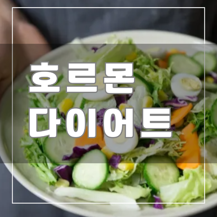 호르몬 다이어트