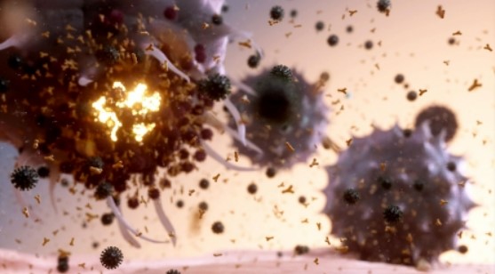 정상세포까지 공격하는 사이토카인 폭풍 출처 YTN사이언스