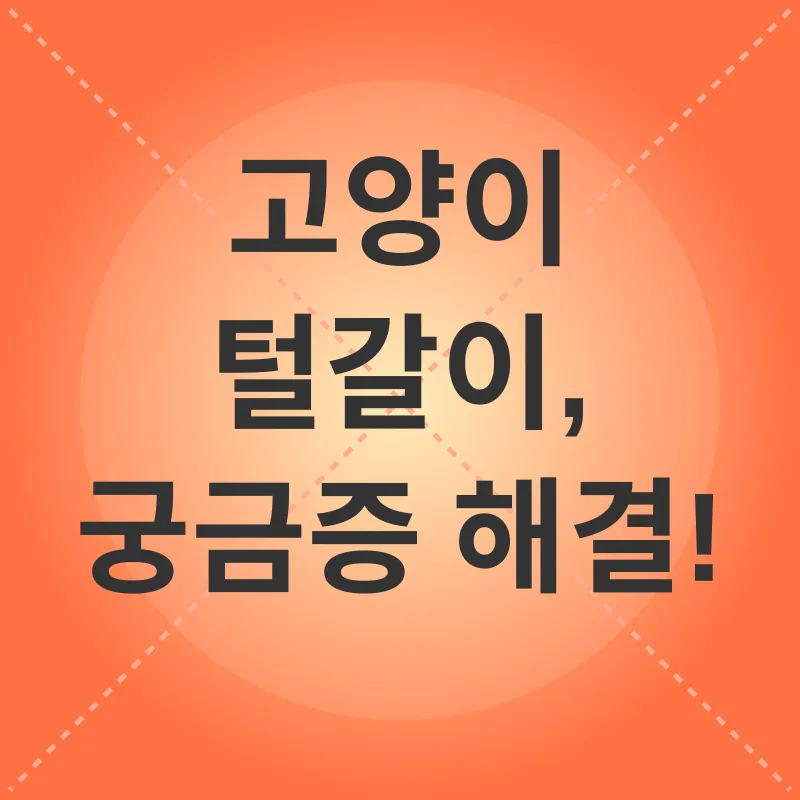 고양이 털갈이 관리_3_subsection