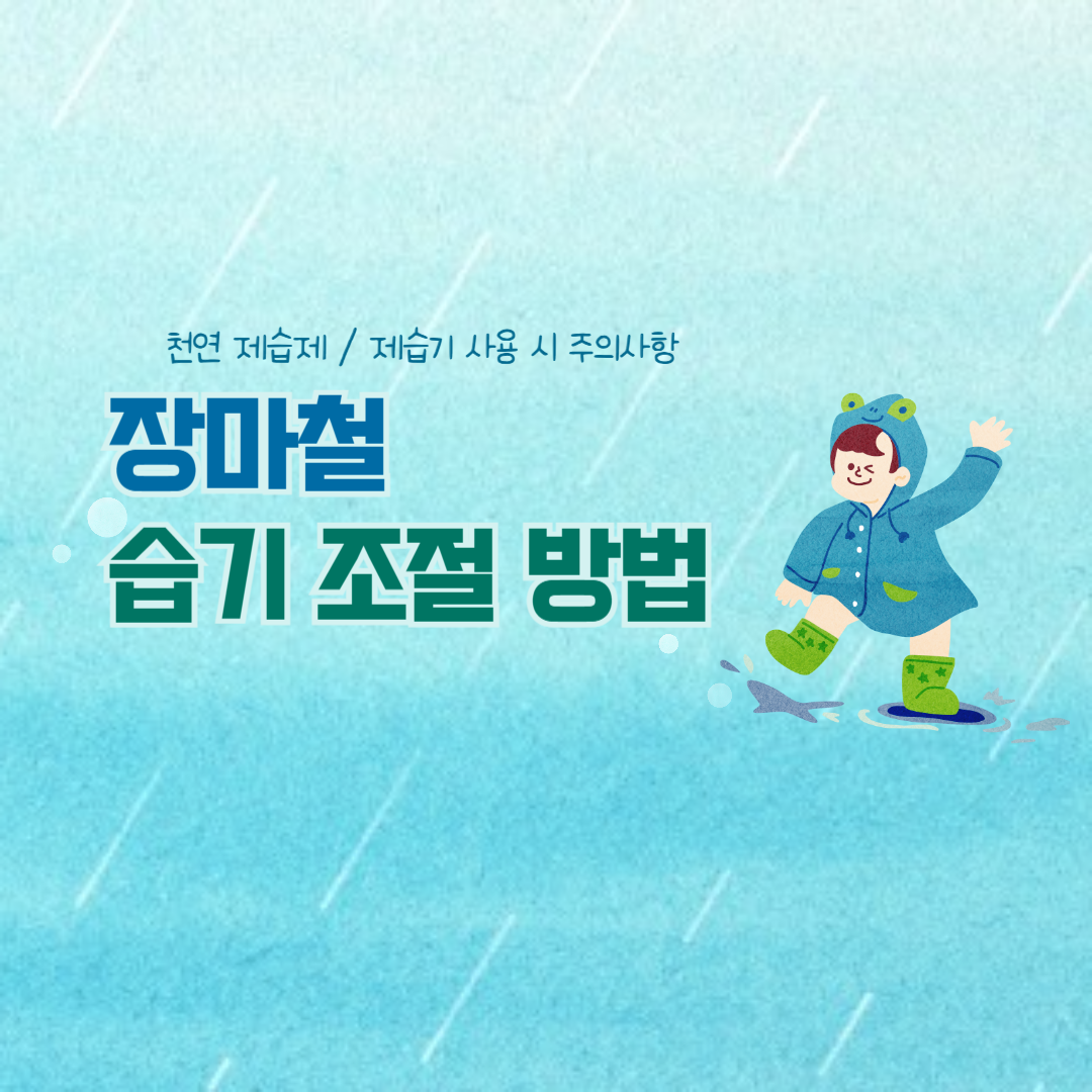 장마철-습기-조절-방법