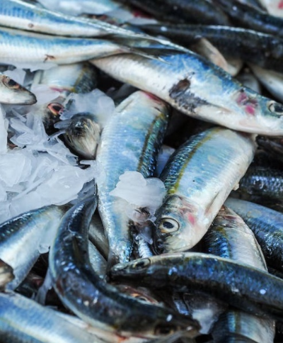 과메기 맛있게 먹는법