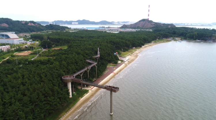 장항송림산림욕장 장항스카이워크