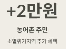 2025 민생지원금 - 농어촌 지역주민 추가지원금