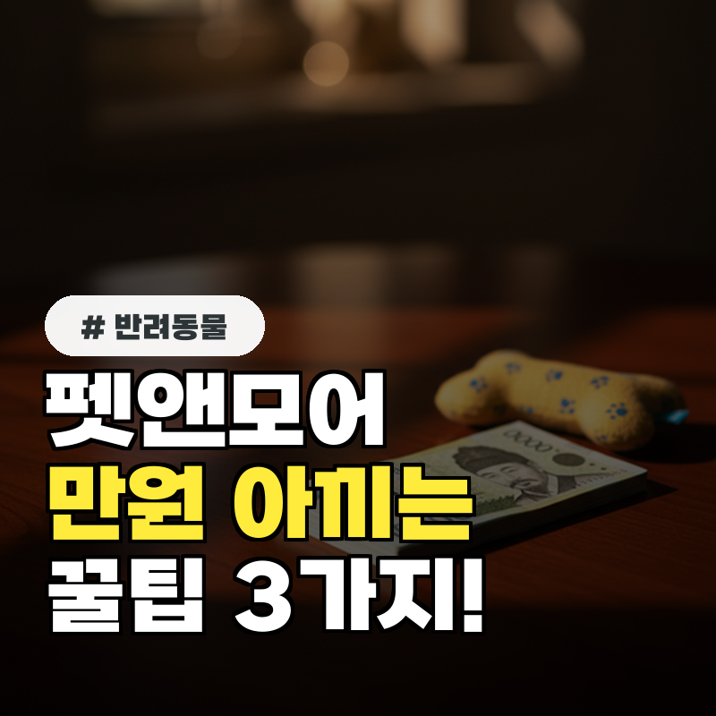 펫앤모어 박람회에서 만원 아끼는 꿀팁 3가지!