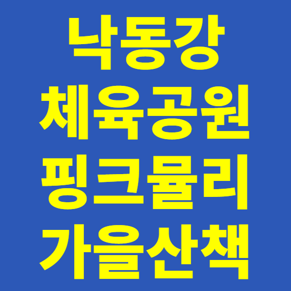 구미 낙동강체육공원 핑크뮬리와 가을 산책로: 주차, 대중교통, 주변 맛집