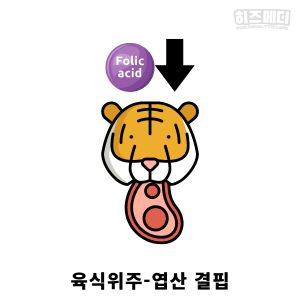 비타민 결핍 빈혈